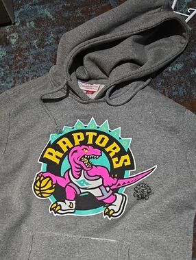 Toronto Raptors Gray Hoodie with Neon Dino Logo mitchell & ness